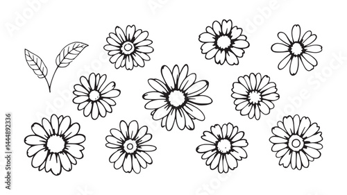Dainty Daisy Sketch line art intricate daisy flower hand-drawn style