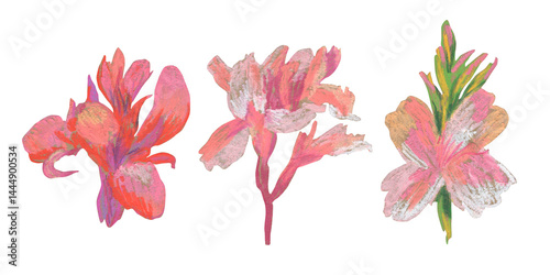 Spring clip art of canna flowers drawn with wax crayons on white isolated background. Children's botanical collection of oil pastel illustrations. Designs for greeting cards, stickers,  posters.
