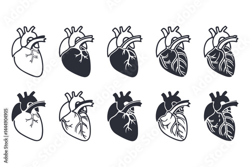 Anatomical Heart Vector Silhouette Icon Set. Human Heart, Cardiovascular System, Heartbeat, Medical Anatomy, Health, Biology, Organ, and Cardiology Illustrations