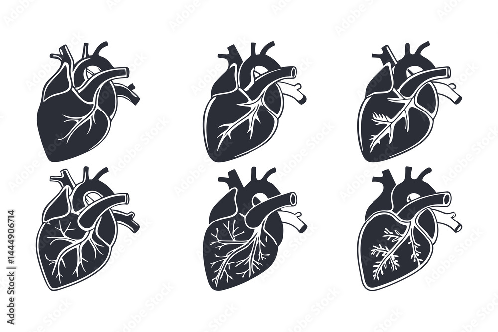 Fototapeta premium Anatomical Heart Vector Silhouette Icon Set. Human Heart, Cardiovascular System, Heartbeat, Medical Anatomy, Health, Biology, Organ, and Cardiology Illustrations