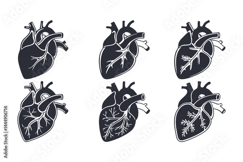 Anatomical Heart Vector Silhouette Icon Set. Human Heart, Cardiovascular System, Heartbeat, Medical Anatomy, Health, Biology, Organ, and Cardiology Illustrations
