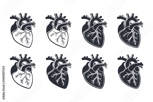 Anatomical Heart Vector Silhouette Icon Set. Human Heart, Cardiovascular System, Heartbeat, Medical Anatomy, Health, Biology, Organ, and Cardiology Illustrations