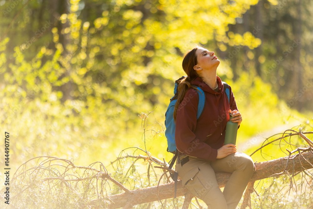 Serene moment of a hiker resting in a sunlit forest with vibrant greenery all around