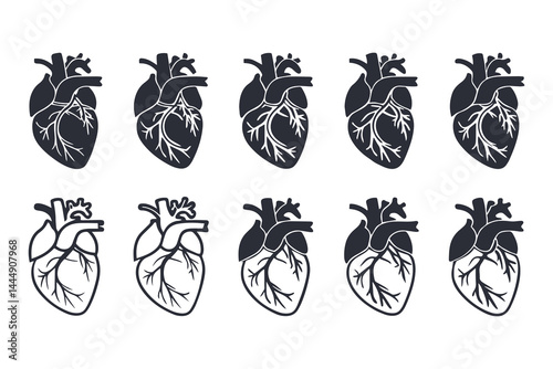 Anatomical Heart Vector Silhouette Icon Set. Human Heart, Cardiovascular System, Heartbeat, Medical Anatomy, Health, Biology, Organ, and Cardiology Illustrations