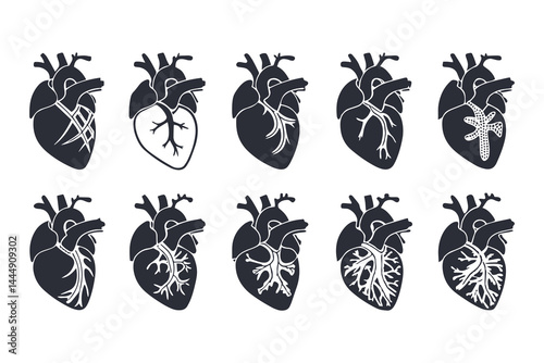 Anatomical Heart Vector Silhouette Icon Set. Human Heart, Cardiovascular System, Heartbeat, Medical Anatomy, Health, Biology, Organ, and Cardiology Illustrations