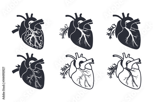 Anatomical Heart Vector Silhouette Icon Set. Human Heart, Cardiovascular System, Heartbeat, Medical Anatomy, Health, Biology, Organ, and Cardiology Illustrations