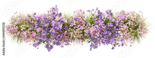 Topview flowery blossoming row on transparent backgrounds 3d illustrations png