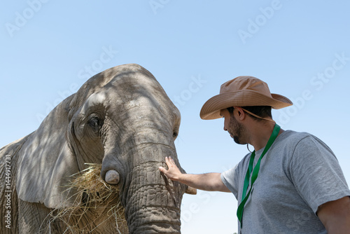 A wildlife rescuer cautiously approaches to touch the trunk of an African elephant recently rescued from the illegal market.