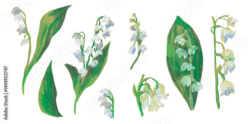 Spring clip art of lily of the valley flowers drawn with wax crayons on white isolated background. Children's botanical collection of oil pastel illustrations. Designs for greeting cards,posters.