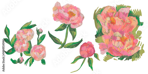 Spring clip art of peony flowers drawn with wax crayons on white isolated background. Children's botanical collection of oil pastel illustrations. Designs for greeting cards, stickers, posters.