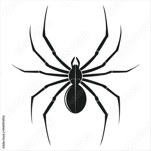 Spider Illustration with Shadow Base White Background