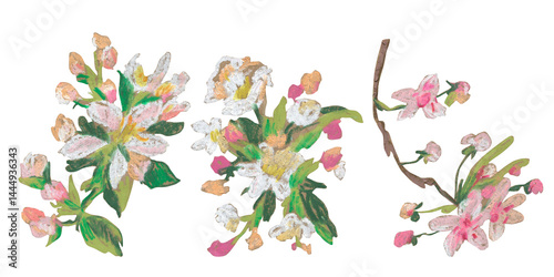 Spring clip art of sakura flowers drawn with wax crayons on white isolated background. Children's botanical collection of oil pastel illustrations. Designs for greeting cards, stickers, posters.