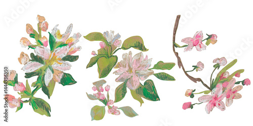 Spring clip art of sakura flowers drawn with wax crayons on white isolated background. Children's botanical collection of oil pastel illustrations. Designs for greeting cards, stickers, posters.