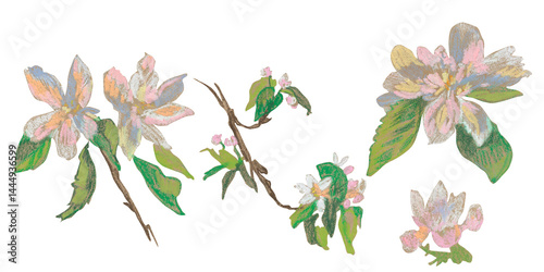 Spring clip art of sakura flowers drawn with wax crayons on white isolated background. Children's botanical collection of oil pastel illustrations. Designs for greeting cards, stickers, posters.