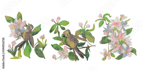 Spring clip art of sakura flowers drawn with wax crayons on white isolated background. Children's botanical collection of oil pastel illustrations. Designs for greeting cards, stickers, posters.