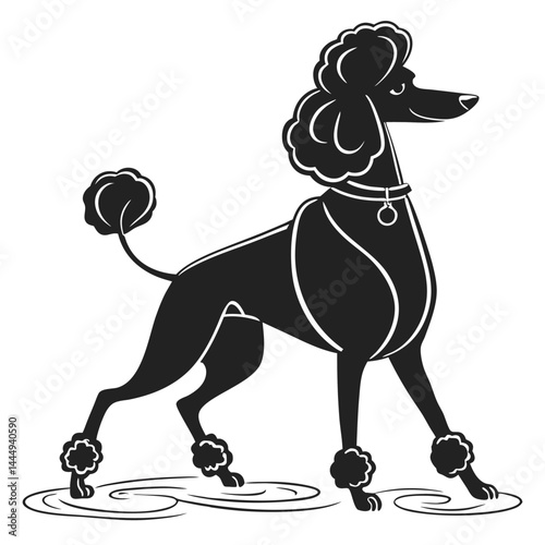 Silhouette of Black Poodle Dog Walking with Collar, Stylish Grooming, Clean Design