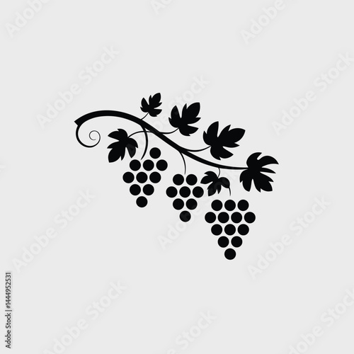 Elegant Black Silhouette of Grapevine with Bunches of Grapes