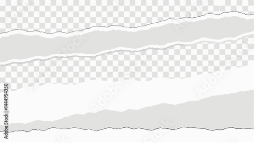 Illustration of torn paper edges with a transparent background and jagged cut lines showing detail