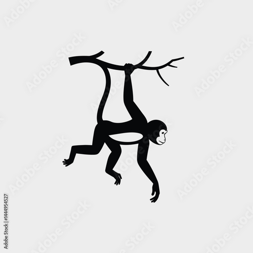 Silhouette of Monkey Hanging from Tree Branch