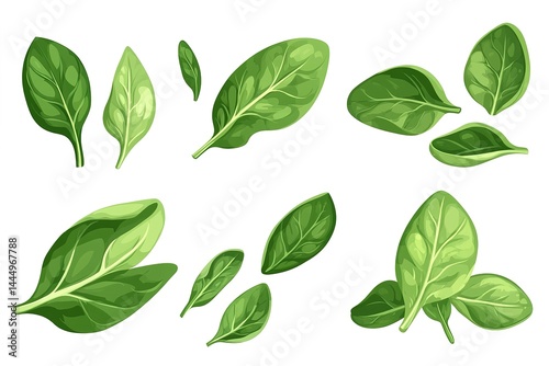 Fresh Green Spinach Leaves Isolated on White Background, Healthy Plant, Flat Lay