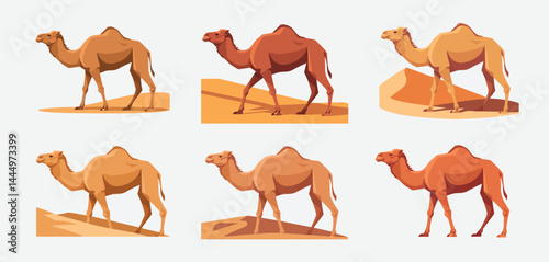 Six Camels in Desert Landscape Illustrations