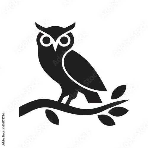 owl on white background