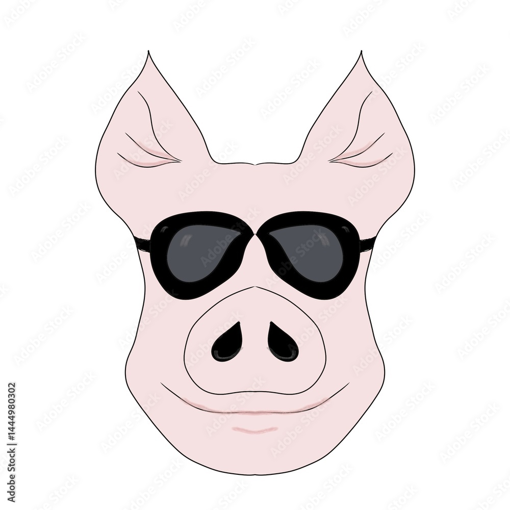 funny pig face funny pig face