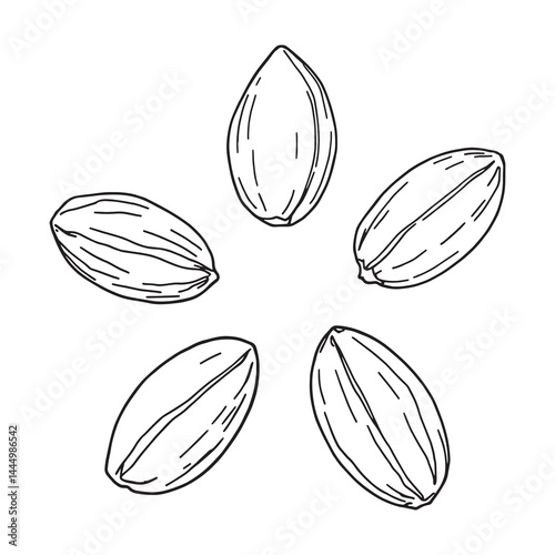 Minimalist almond branch with leaves black line art