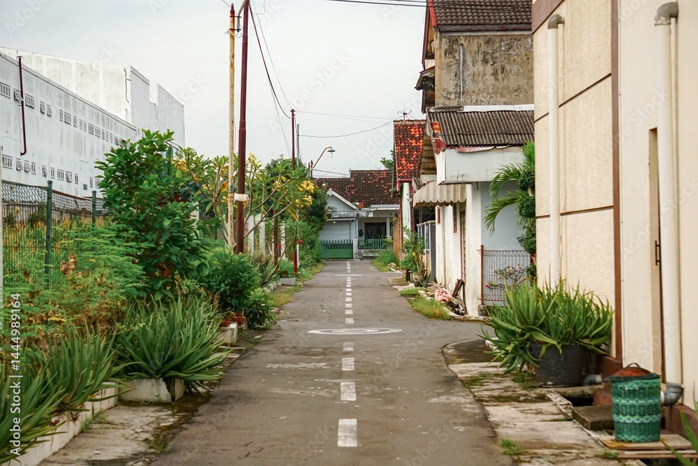 Obraz premium Warm sunset glow over a quaint residential street.