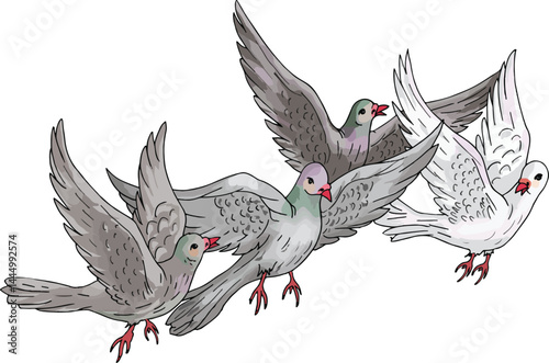 Cartoon pigeons flying in the sky.
