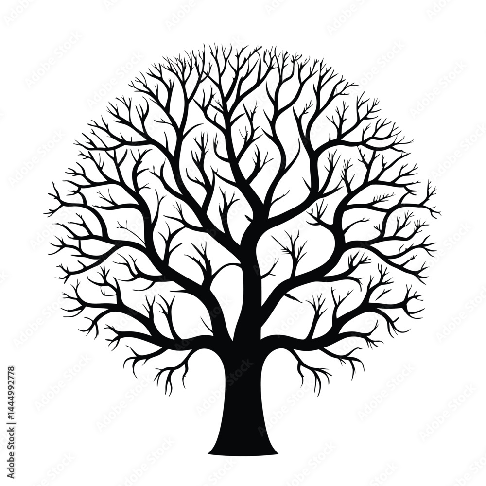 Fototapeta premium Bare Black Tree Silhouette Isolated on White, Circular Crown and Branch Structure