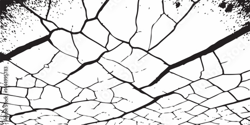Vector cracks, breaks on land surface from earthquake. old wall background crack vector, grunge texture. cracked white paint on a white background. 