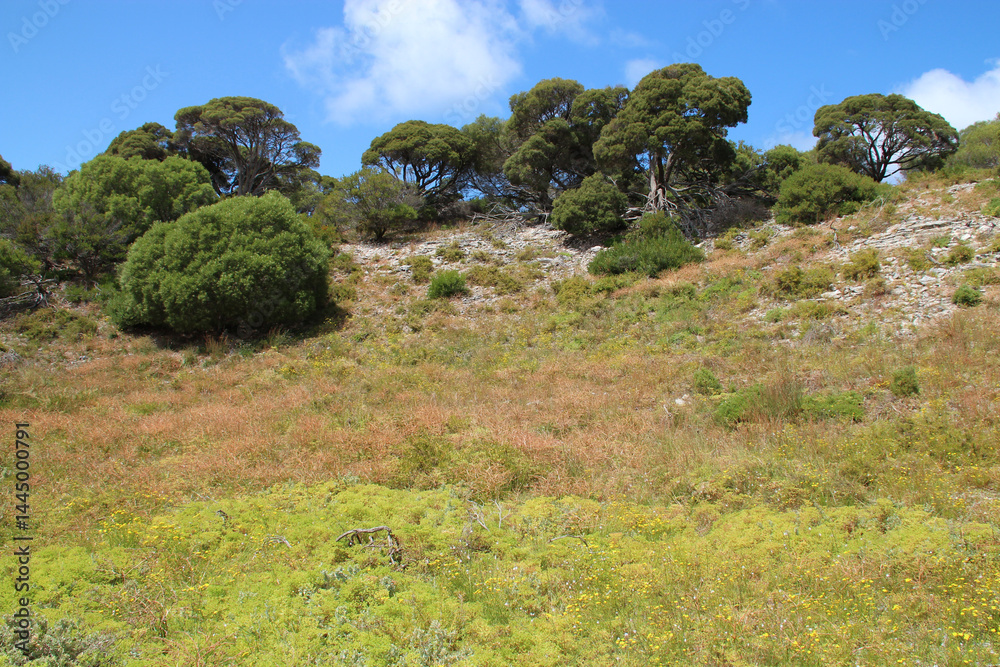 countryside at rottnest island in australia