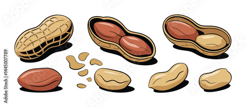 Cartoon Peanuts in Shells and Shelled Peanuts Illustration