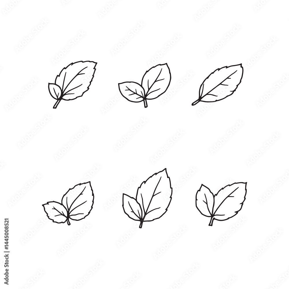 Minimalist Line Art Fresh Mint Leaves for Graphic Design Minimalist Line Art Fresh Mint Leaves for Graphic Design