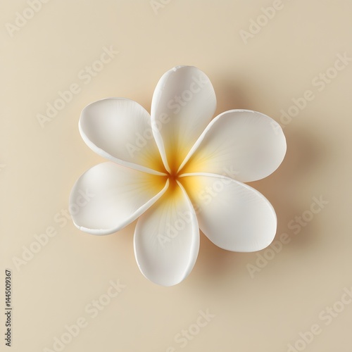  Close-Up White Frangipani Isolated