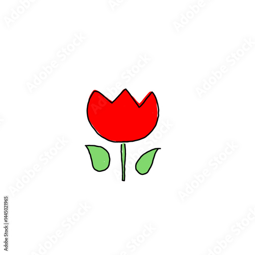 Single Red Tulip Drawing