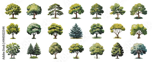 Collection of Twenty Four Diverse Green Trees Illustrations