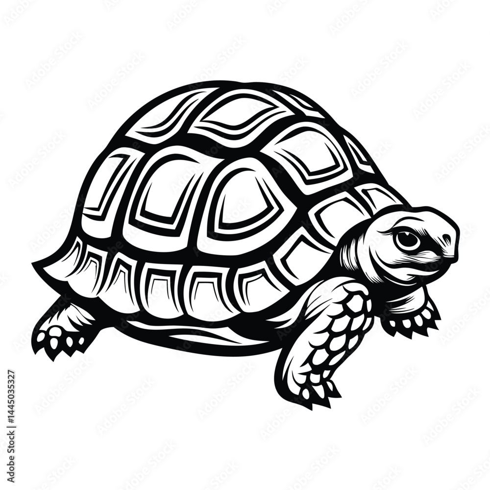 Fototapeta premium Intricate Black and White Turtle Artwork, Detailed Shell Design, Wildlife