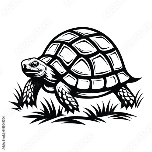 Turtle Walking Silhouette, Wildlife Reptile, Animal in Grass, Tortoise Isolated Art