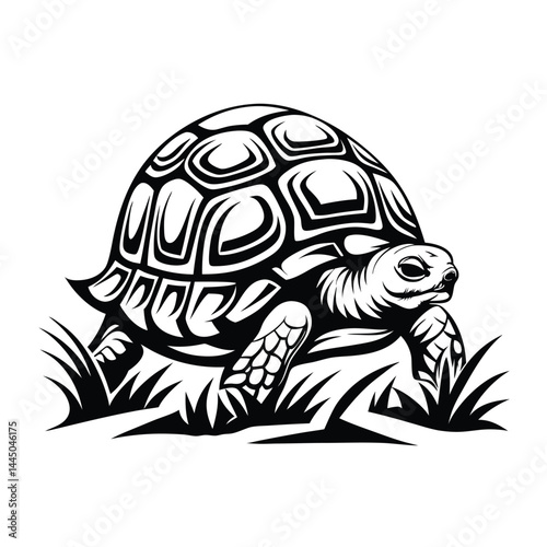 Monochrome Turtle Walking on Grass, Wildlife Creature with Shell, Reptile Animal Design
