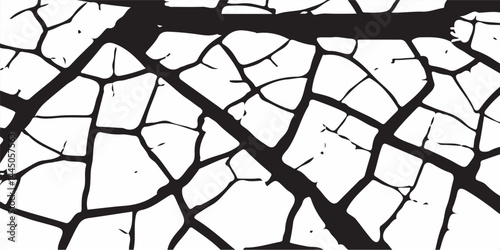 White Surface Texture In Pieces
Grey plaster facade house wall with dark cracks
White black grey concrete wall, floor with cracks, texture background, cracked paint