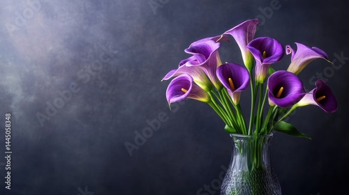 Purple Calla Lilies in a Vase