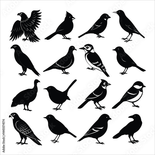 Silhouette Vector Set of Popular American Birds