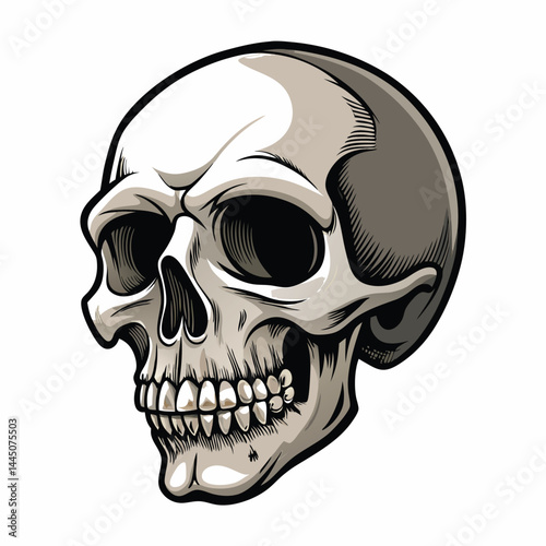 A detailed, three-quarter view of a human skull with white  background.