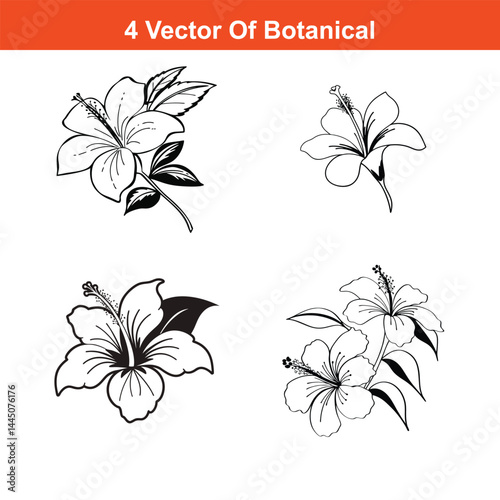 Hibscus Flower Continuous Line Drawing with Editable Stroke,Black and white hibiscus flowers, branch, leaf