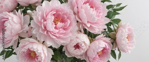 Wallpaper Mural Delicate pink peonies & roses bouquet  White background  Copy space ,  botany,  Valentine's Day,  spring Torontodigital.ca