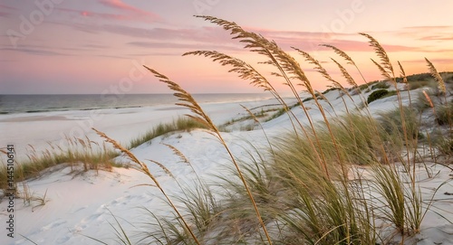 Coastal Whispers: A tranquil beach scene, the golden sea oats swaying in the breeze, against the serene backdrop of the ocean and sky, evokes a sense of peace.