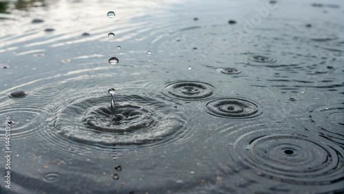 Water Droplets Creating Ripples in a Puddle