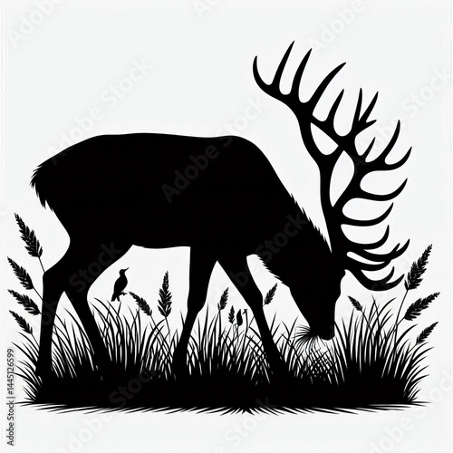 animals silhouette of wildlife